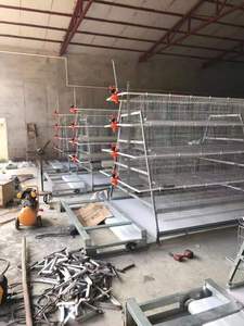 Jaula para Pollos de 4 Niveles y 4 Puertas Tipo A, 128 Aves, 1880x2400x1700mm, Equipo Avícola Galvanizado - Product Image 4