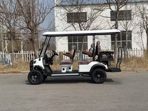 Voiturette de golf de luxe 2 places, design urbain, batterie 60V, mini-voiturette de golf personnalisable - Product Image 5