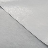 Nouveau matériau Offre Spéciale Double face Non-tissé ruban d'entoilage adhésif fer sur ourlet ruban Web entoilage pour la couture