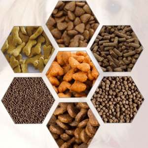 Máquina Extrusora de Pellets para Alimento de Peces Flotante, Equipo de Producción de Pellets para Alimento, Máquina Doméstica para Hacer Pellets - Product Image 3