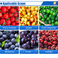 Machine de tri et de calibrage industrielle ORME pour olives, pommes de terre, citrons, fruits, tomates, lavage et tri