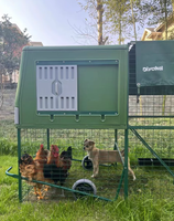 Cage mobile préfabriquée en plastique pour animaux de compagnie, poulailler pour poules pondeuses