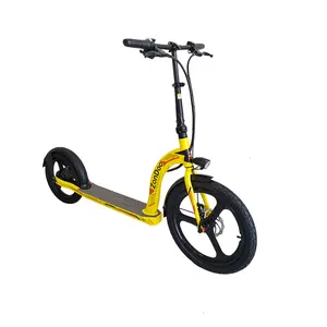 OEM/ODM Grande ruota scooter elettrico fat tire ZonDoo 16 pollici DC ingranaggio del motore elettrico della bici per adulti con il prezzo poco costoso