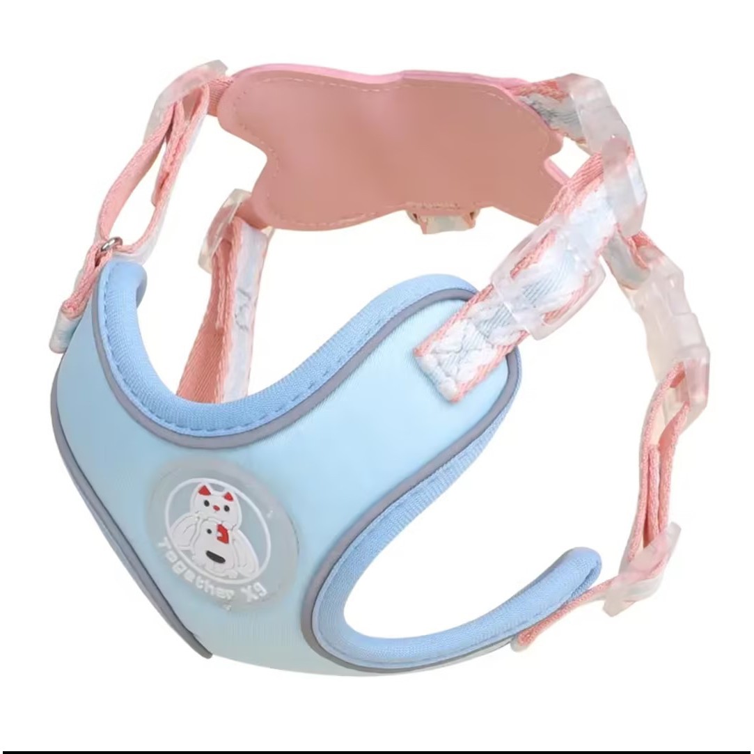 Ice Cream Chest Strap - Blue