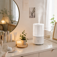 Humidificateur d'air ultrasonique à brume fraîche 3L avec lumière LED, deux modes de brume et protection contre la pénurie d'eau pour chambre à coucher
