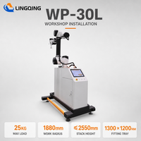 Robot de palettisation collaboratif WP-30L, Cobot Palettiseur, 12 PCS Min, Robot de manutention rapide et automatique pour cartons, caisses et sacs