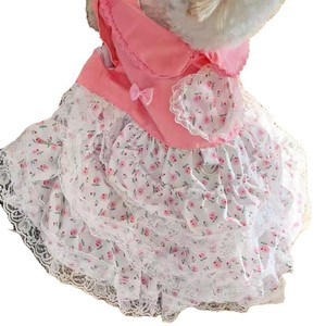 Pet Clothes Princess <b>Lace</b> Floral Dress For <b>Teddy</b> Bichon Frise Dog Sweetheart Style Four Seasons Decorative Skirt HFD6524 - Product Image 4
