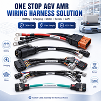 Câblage complet personnalisé OEM pour batterie, moteur, capteur et câble CAN pour robots AGV et AMR d'entrepôt - Fabricant de faisceaux de câblage