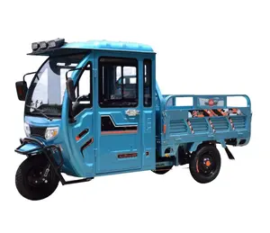 EVERBRIGHT <span class=keywords><strong>bici</strong></span> da carico <span class=keywords><strong>a</strong></span> <span class=keywords><strong>tre</strong></span> <span class=keywords><strong>ruote</strong></span> triciclo elettrico adulto di alta qualità con corpo aperto 48v tensione - Product Image 1