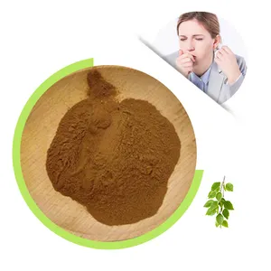 China Fabriek Food Grade Betula Alba Berkenblad Extract Poeder Vorm In Trommel Verpakking Goedkope Prijs Voor Voedsel Gebruik