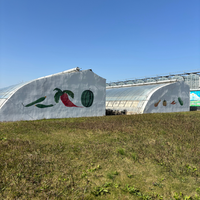 Serre agricole commerciale intelligente de grande taille à plusieurs travées, système hydroponique, bâche de couverture, largeur de baie de 4 m, galvanisation à chaud