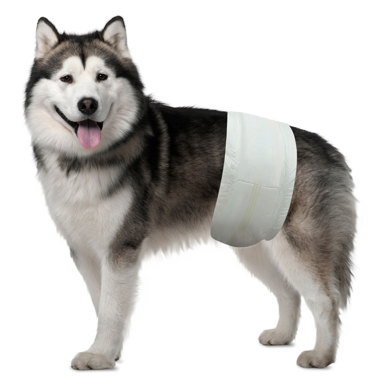 GODSEND OEM ODM Disposable Breathable Absorption