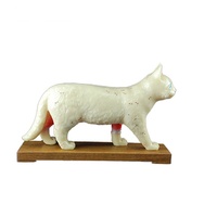 Modèle d'anatomie de chat en PVC grandeur nature pour l'acupuncture animale, conforme CE/ISO, pour la science médicale