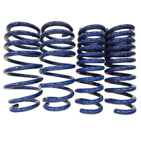 Muelles helicoidales delanteros de alto rendimiento para 2002-2003 Lancer 2014 Ford Mustang 2007 Land Cruiser 2004 Vauxhall Corsa 2004 Ford