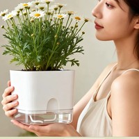 Pot à orchidées en PP blanc transparent, texture géométrique, léger, durable, écologique, biodégradable, pour intérieur/extérieur, grand modèle