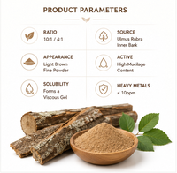 Extrait de Corteau d'Orme Rouge 10:1 en Poudre - Extrait Herbal de Qualité Alimentaire Standardisé de Corteau Intérieur pour le Confort Gastro-intestinal