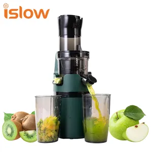 2022 New Design Home Compact slow juicer with big mouth Mouth High Yield Cold Press Slow Masticating Squeezing Fruit Juicer