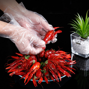 Gants jetables bon marché en gros, gants jetables imperméables en HDPE pour la préparation des aliments, le nettoyage et le jardinage - Product Image 3