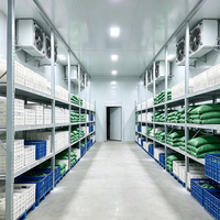 Chambre froide portable pour semences, chambre froide de plain-pied, congélateur rapide, conteneur avec rail à viande pour l'industrie de transformation alimentaire