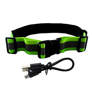 Flash nocturno <span class=keywords><strong>de</strong></span> carga Usb con luz Led celosía <span class=keywords><strong>de</strong></span> cristal cinturón <span class=keywords><strong>de</strong></span> carrera nocturna que brilla en la oscuridad cinturón <span class=keywords><strong>de</strong></span> ciclismo suministros <span class=keywords><strong>de</strong></span> equitación - Product Image 5