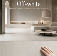 Peinture murale en microciment imperméable, résistante à l'usure, microciment pour la décoration murale