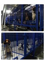 Jaula de Acero Reforzada y Soldada de Alta Resistencia para Perros Grandes, para Exteriores, para Cría de Perros de Trabajo en Granjas