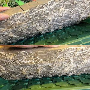 现代小型水培生长立方体蘑菇和大麻种子用高效种子种植 - Product Image 4