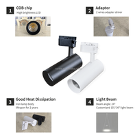 RONSE 20W Cob Spotlight Lamp Techo alto 220V 2 Wire Rail Sistema de iluminación Luces de riel comercial en 3000K 4000K 6000K Colores