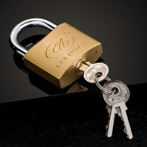Fábrica OEM Vende Candados de Hierro Pintado en Latón de Alta Resistencia con Cilindro de Latón OEM Llaves Iguales - Product Image 3