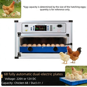 Incubadora de Huevos Industrial Automática de Alta Resistencia para Aves de Corral, Pollos, Gansos, Avestruces y Emús con una Tasa de Incubación del 98% y Fácil Operación - Product Image 2