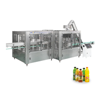 Línea de producción de jugo de fruta comercial automática Máquina de planta de procesamiento de jugo completa industrial completamente automática para la venta