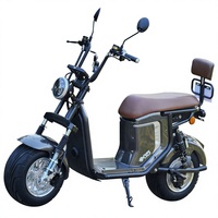 2000W 60V 3-versnellingen Vetband Tweewielige Elektrische Harley Citycoco Elektrische Scooter 150kg Olieachtige Schijfrem voor Volwassenen