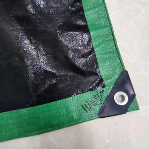 Vert <span class=keywords><strong>noir</strong></span> arrière-cour PE bâche feuille HDPE revêtement parc toboggan bâche - Product Image 3