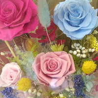 Groothandel Ge conserveerde Rozen Bloemen Doos Kleurrijke Cadeaudoos Decoratie voor Valentijnsdag Moederdag Bruiloft Bulk Leverancier