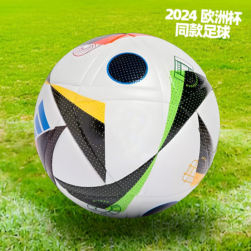 2024 european cup skin