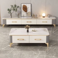 Ensemble de meuble TV et table basse, meubles de maison, bois massif, luxe léger, style moderne minimaliste, style européen américain, salon, petit