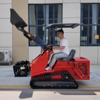 Mini-kniklader met 17,5 kW dieselmotor, compacte rupsbanden, 400 kg laadvermogen en 2 jaar garantie.