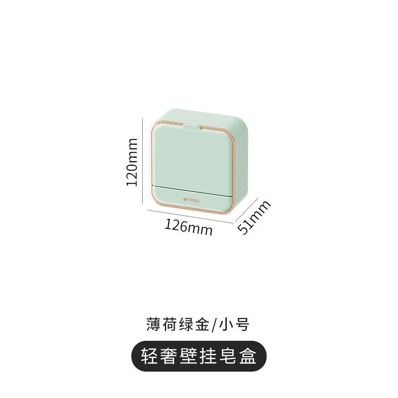 Mint Green Single-Compartment Soap Dish