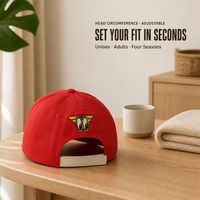 Casquette de baseball personnalisée pour équipe de course, brodée, six panneaux, réglable