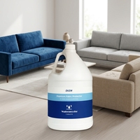 Spray Nano Hydrophobe Écologique Anti-Taches pour Textiles, Intérieur de Voiture et Tissus de Canapé