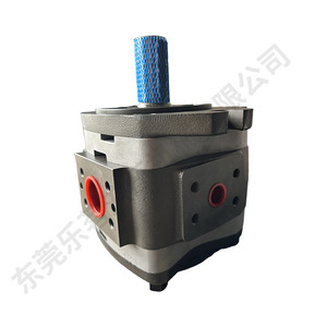 Bomba hidráulica de engranajes Leming Hydraulics con cuerpo de hierro fundido, 18 Lpm, 3500 Psi, bomba rotativa para sistemas industriales de alta presión - Product Image 3