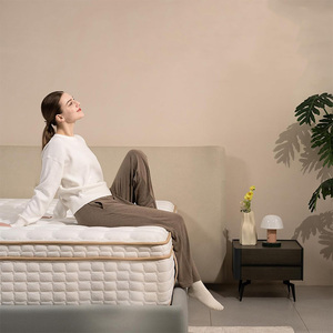 Bán Buôn 14 Inch Đôi Kích Thước Lai Nệm 10 Inch Bộ Nhớ Bọt Túi Mùa Xuân Nệm - Product Image 5