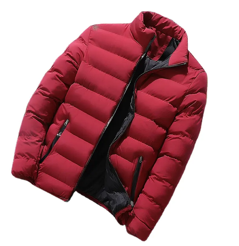 Amazon kaliteli yeni erkek aşağı ceket sıcak ceket standı yaka kış erkekler rahat 100% Polyester katı kalın düz boyalı Nonwoven