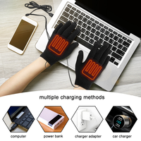 Chauffe-mains charge trésor chauffage écran tactile gants chauds en peluche grande taille contrôle de la température USB gant chauffant soins des mains