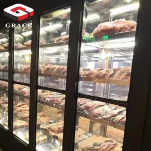 Réfrigérateur vieillissant sec d'ager de viande