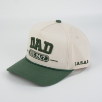 Gorra de Béisbol Deportiva de Invierno con Patrón de Espiga y Bordado de Letras, Estilo Urbano, 100% Algodón, Unisex