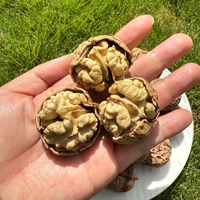 Demi-noyaux de noix clairs en gros, en vrac, bruts, séchés, décortiqués, pour boulangerie, garniture de crème glacée, qualité alimentaire naturelle, collation saine