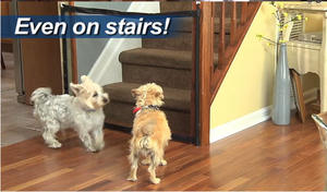 Caja de seguridad familiar creativa, aislamiento conveniente, portátil, <span class=keywords><strong>para</strong></span> <span class=keywords><strong>puerta</strong></span> mágica, gato, perro, cerca de seguridad - Product Image 4