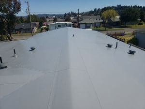 غشاء مضاد للشيخوخة من البي في سي بسمك 1.2 مم مع بطانة من الصوف، غشاء مقاوم للماء لأسقف المباني - Product Image 4