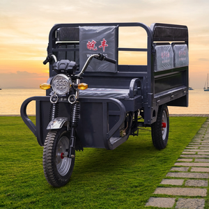 Tricycle électrique cargo personnalisé à <span class=keywords><strong>3</strong></span> <span class=keywords><strong>roues</strong></span> avec siège passager pliable, chargeur robuste, E-Trike pour les marchés d'Amérique et d'Asie - Product Image 3
